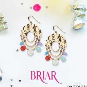 Park Lane Briar Earrings NWT